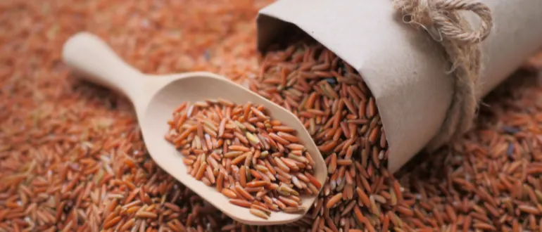 Red rice